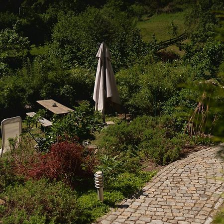 Haus Am Berzdorfer See - 3 Schlafzimmer - Ganzes Haus Zur Alleinnutzung - Terrasse - Hochwertige Ausstattung Görlitz Exterior foto