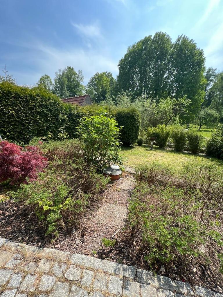 Haus Am Berzdorfer See - 3 Schlafzimmer - Ganzes Haus Zur Alleinnutzung - Terrasse - Hochwertige Ausstattung Görlitz Exterior foto